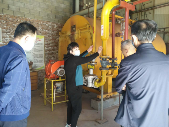 山东鼎安职业安全科技中心对曲阜市姚村镇开展安全诊断服务